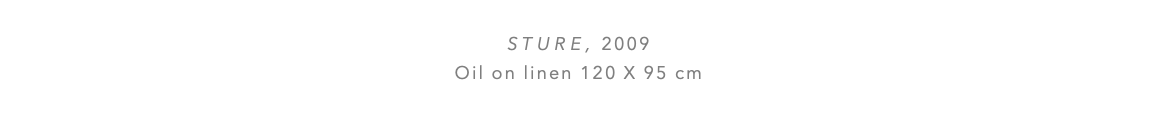  STURE, 2009 Oil on linen 120 x 95 cm 