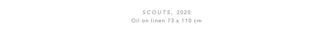  SCOUTS, 2020 Oil on linen 73 x 110 cm 