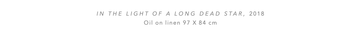  IN THE LIGHT OF A LONG DEAD STAR, 2018 Oil on linen 97 x 84 cm 